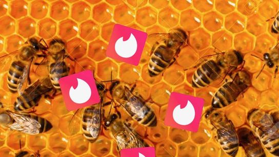 Bonus: Tinderbees (Bonus Episodes)