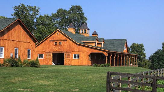 101: What Is a Feed Conversion Ratio? (101)