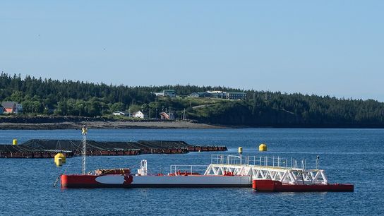 Underwater Cameras Could Help Unlock America’s Tidal Energy Industry (news)