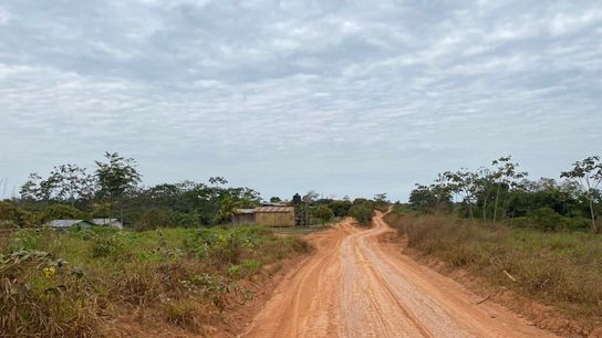 A dirt road leading to Antonio Cardozo’s property outside the town of Iñapari. A dirt road leading to Antonio Cardozo’s property outside the town of Iñapari.