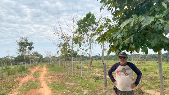 Antonio Cardozo stands near a fence lined with recently planted native trees. Antonio Cardozo stands near a fence lined with recently planted native trees.