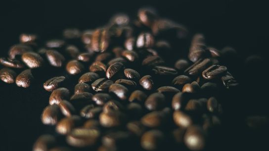 Agroforestry E-Library Aims to Inform Climate-Threatened Coffee Growers (news)