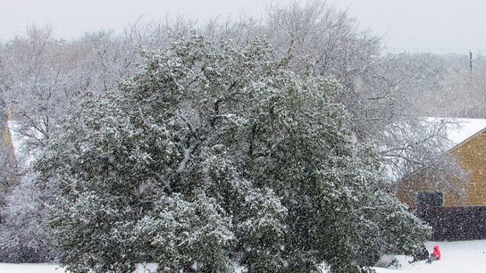 Texas’ Grid Holds Up During Winter Weather (news)